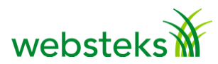 Logo | Websteks