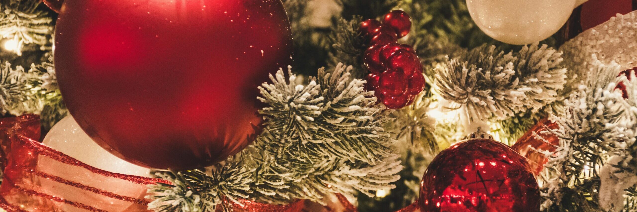 Kerst: De feestdag van profijt voor iedereen! Kerst: De feestdag van profijt voor iedereen!